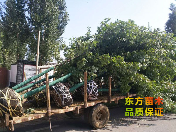 裝車現場
